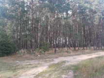 Działka rolna Jerutki. Zdjęcie 1