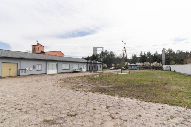 Lokal Wiązowna. Zdjęcie 1