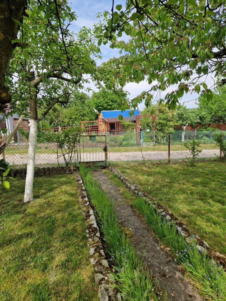 Działka rod Szczecin Bukowe. Zdjęcie 2