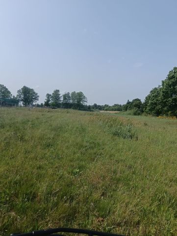 Działka budowlana Bierkowo. Zdjęcie 1