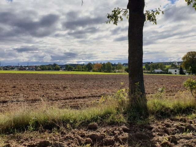 Działka budowlana Przyjaźń, ul. Łąkowa. Zdjęcie 4