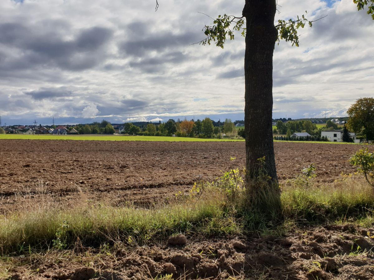 Działka budowlana Przyjaźń, ul. Łąkowa. Zdjęcie 4