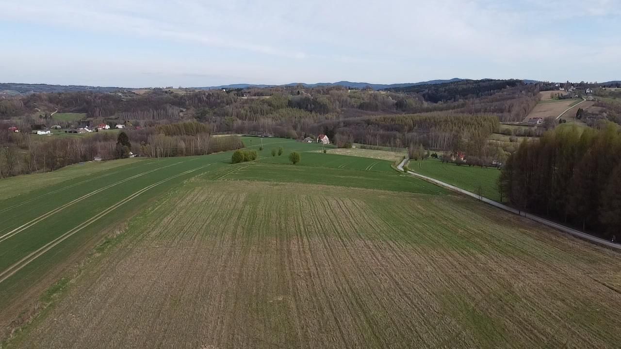 Działka budowlana Tuchów. Zdjęcie 2