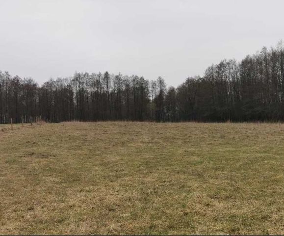 Działka Suchorzec. Zdjęcie 1