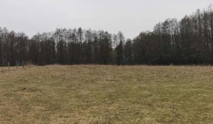 Działka Suchorzec