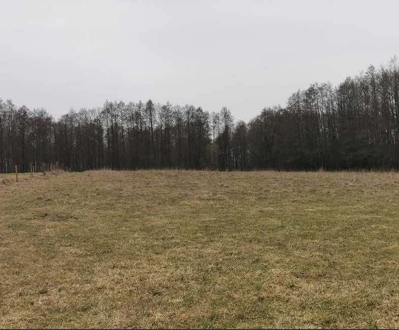 Działka Suchorzec. Zdjęcie 1