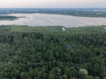 Działka Sumin. Zdjęcie 3
