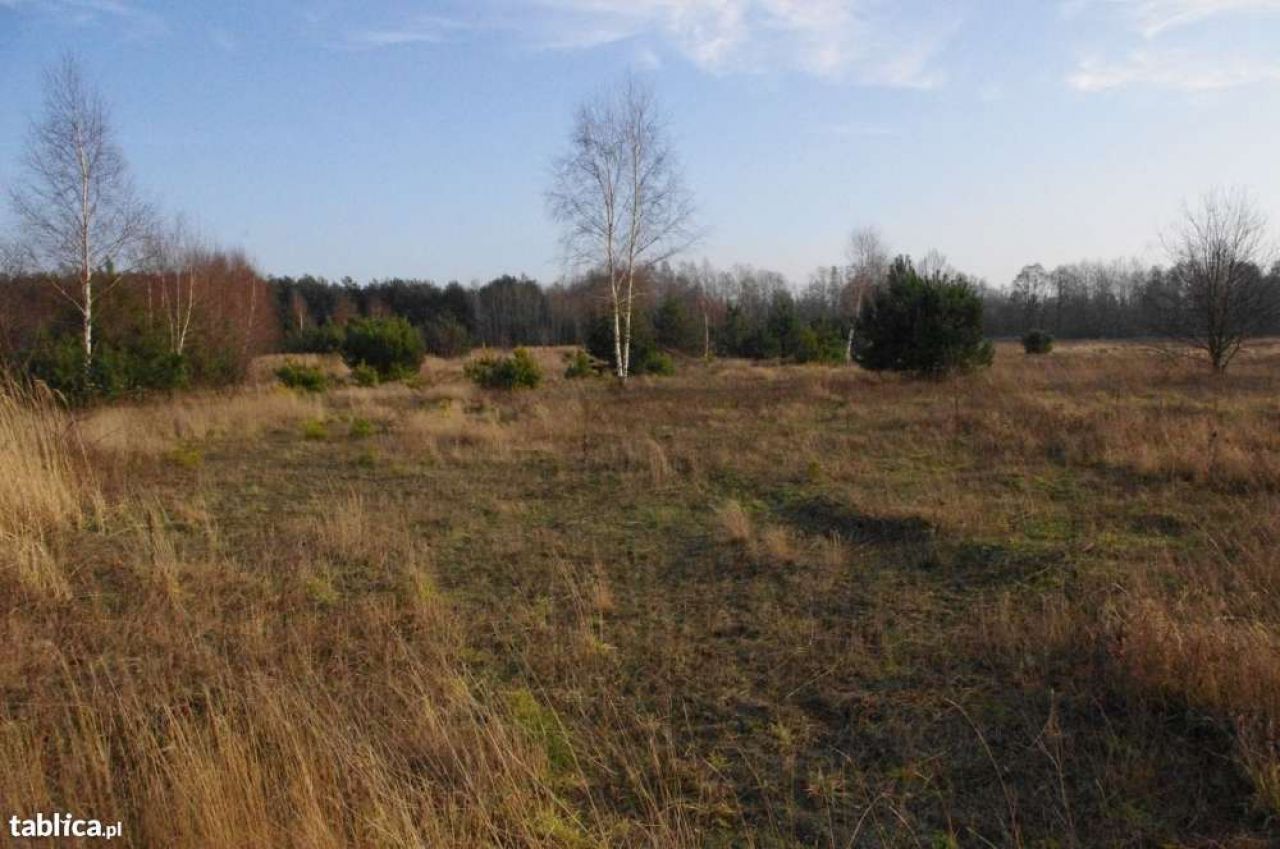 Działka budowlana Skoki Duże. Zdjęcie 6