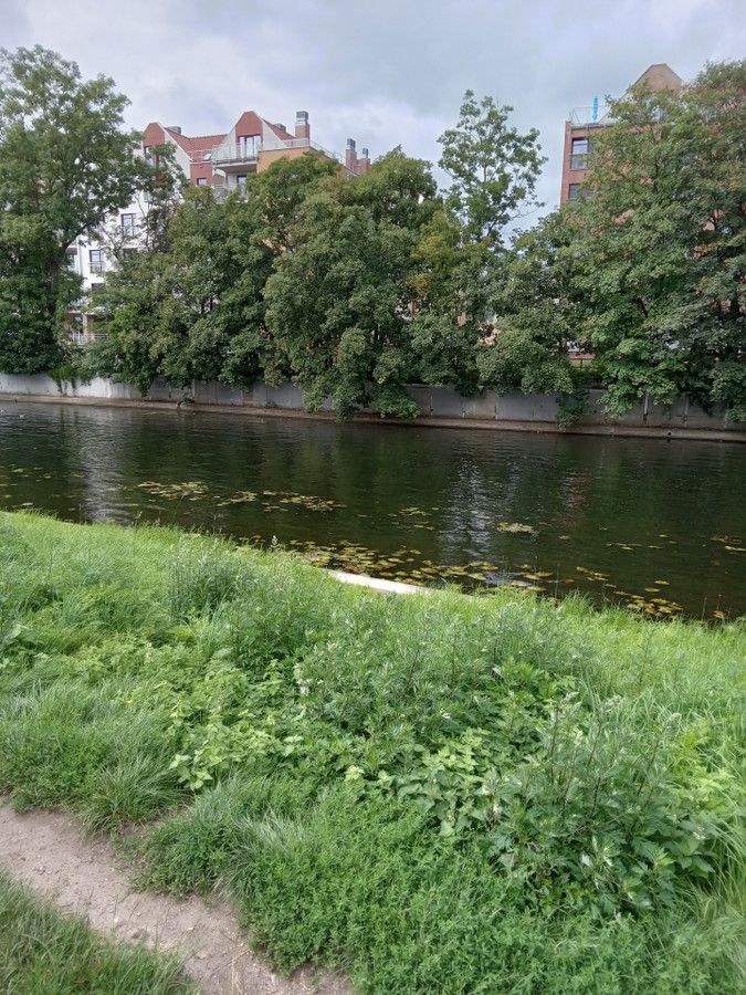 Mieszkanie 3-pokojowe Gdańsk Dolne Miasto, ul. Zielona. Zdjęcie 10