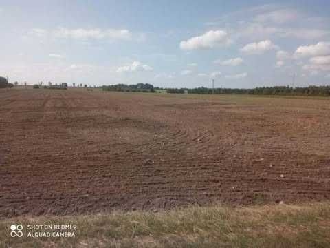 Działka rolna Brzóza. Zdjęcie 2