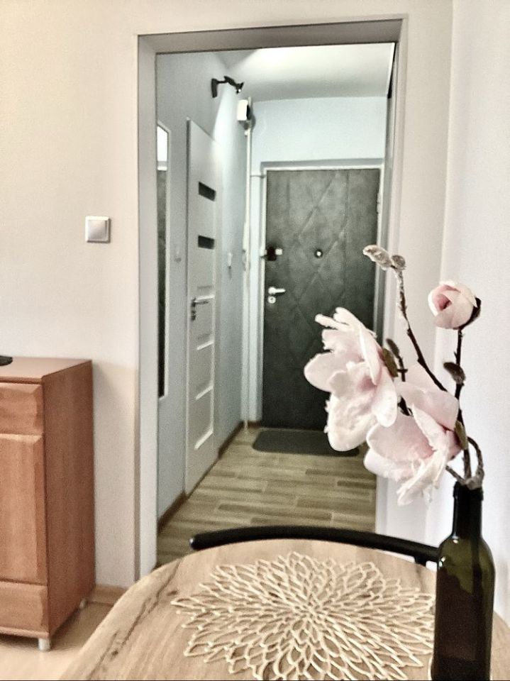 Mieszkanie 1-pokojowe Łódź Teofilów, ul. Lniana. Zdjęcie 3