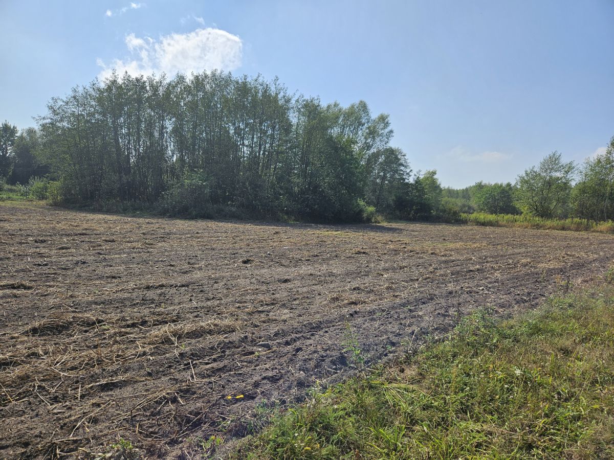 Działka budowlana Zadębie. Zdjęcie 12