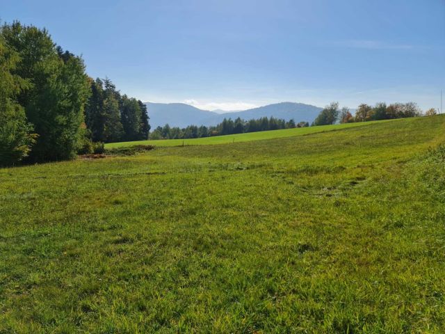 Działka Łosie. Zdjęcie 1