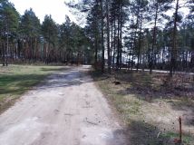 Działka budowlana Marynino, Sosnowa. Zdjęcie 3