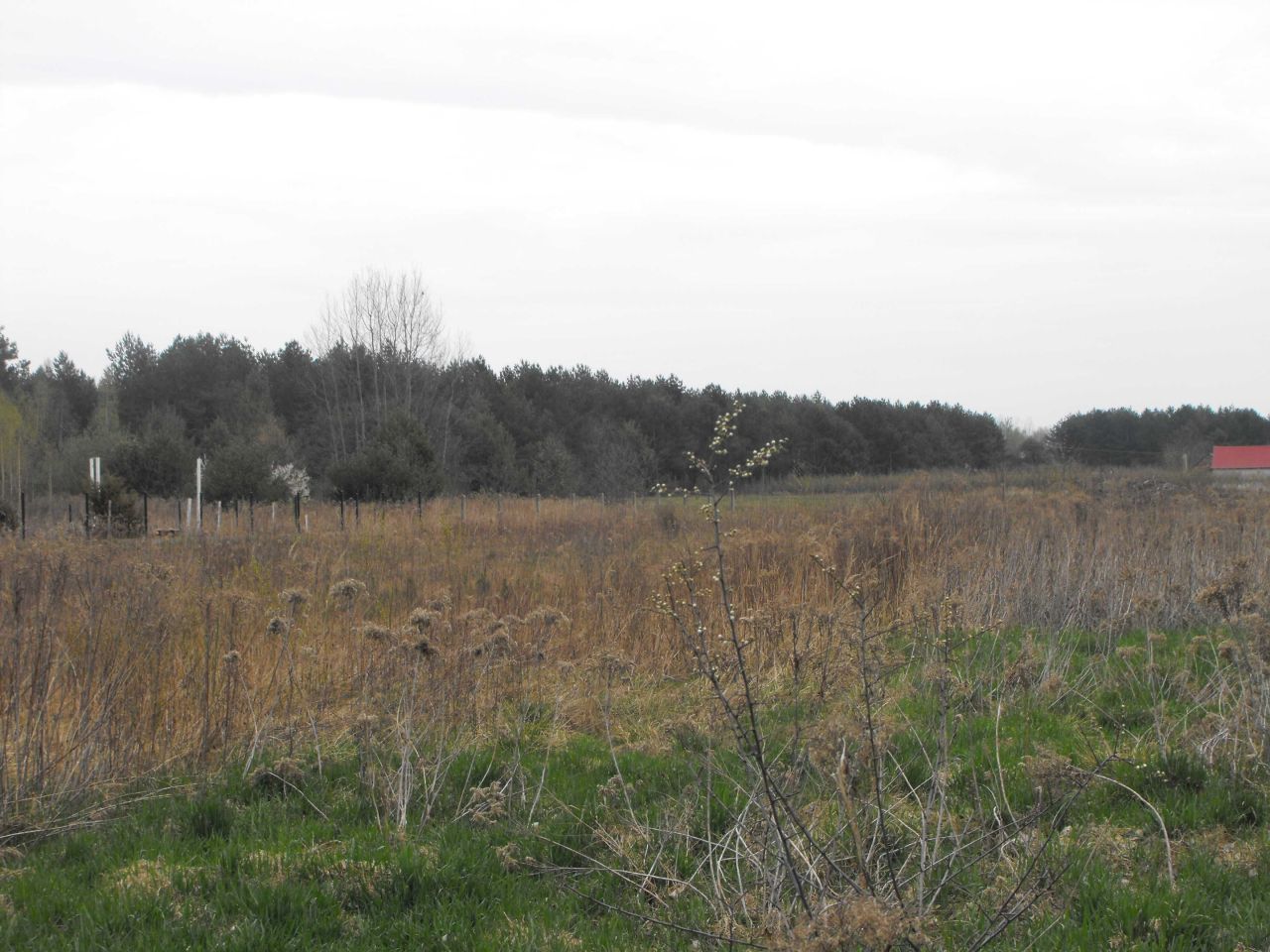 Działka rolno-budowlana Miłkowska Karczma. Zdjęcie 7