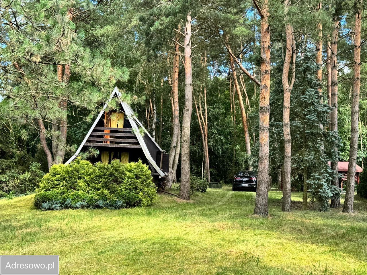 Działka rekreacyjna Borkowo. Zdjęcie 5