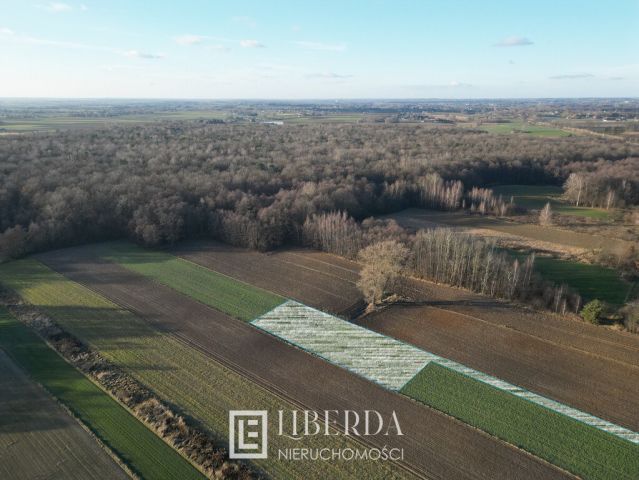 Działka rolna Motycz Leśny. Zdjęcie 1