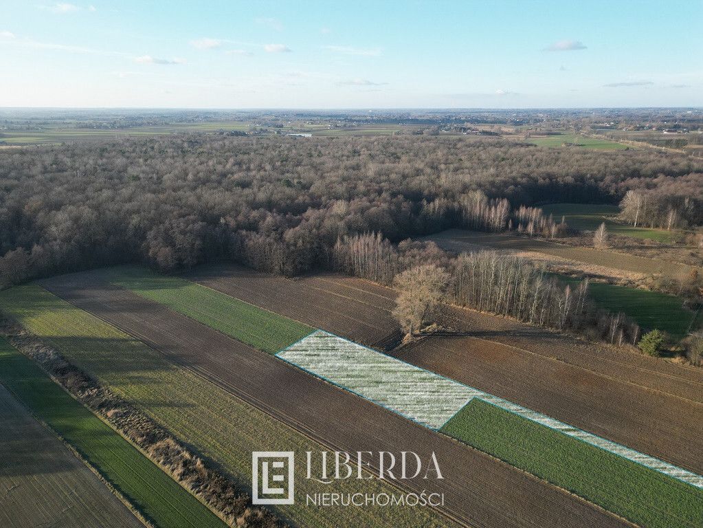Działka rolna Motycz Leśny. Zdjęcie 1