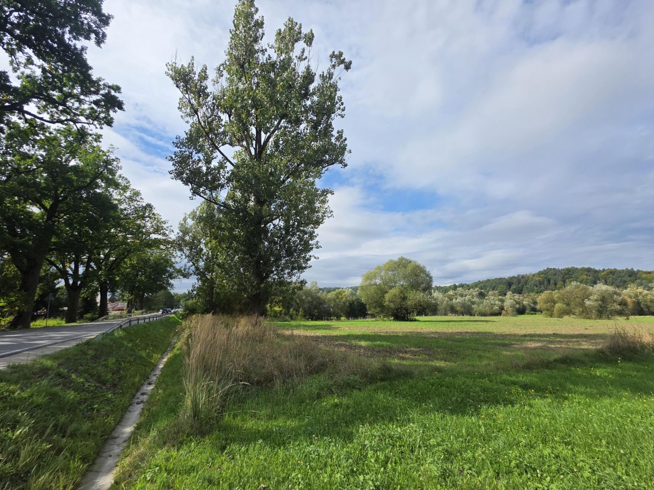 Działka inwestycyjna Krzywaczka. Zdjęcie 6