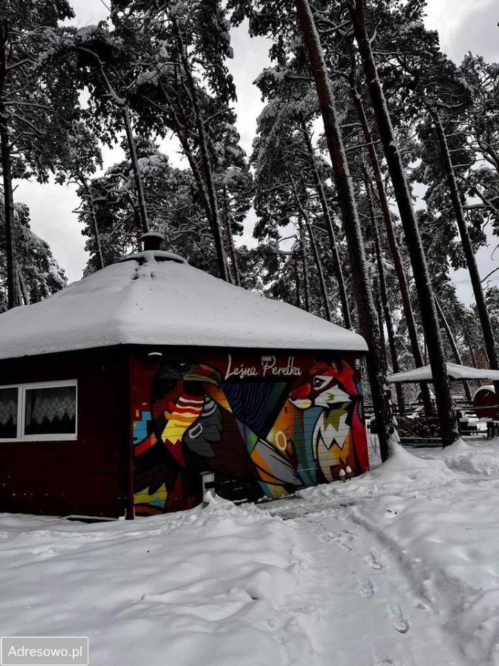 Działka leśna Boruszowice, ul. Armii Krajowej. Zdjęcie 4
