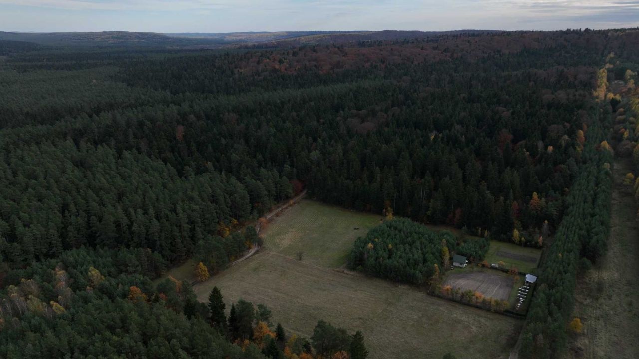 Działka rekreacyjna Obrocz. Zdjęcie 4