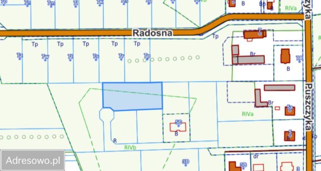 Działka budowlana Prażmów, ul. Puszczyka. Zdjęcie 1