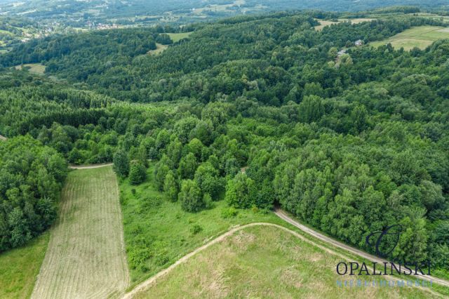 Działka inwestycyjna Straszydle. Zdjęcie 10