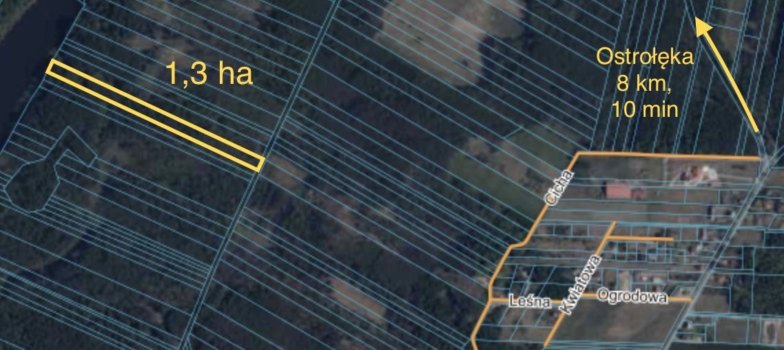 Działka leśna Kamianka. Zdjęcie 6