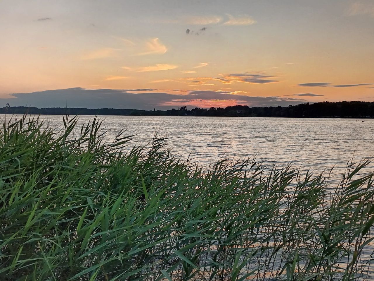 Działka rekreacyjna Silnowo, ul. Leszczynowa. Zdjęcie 8