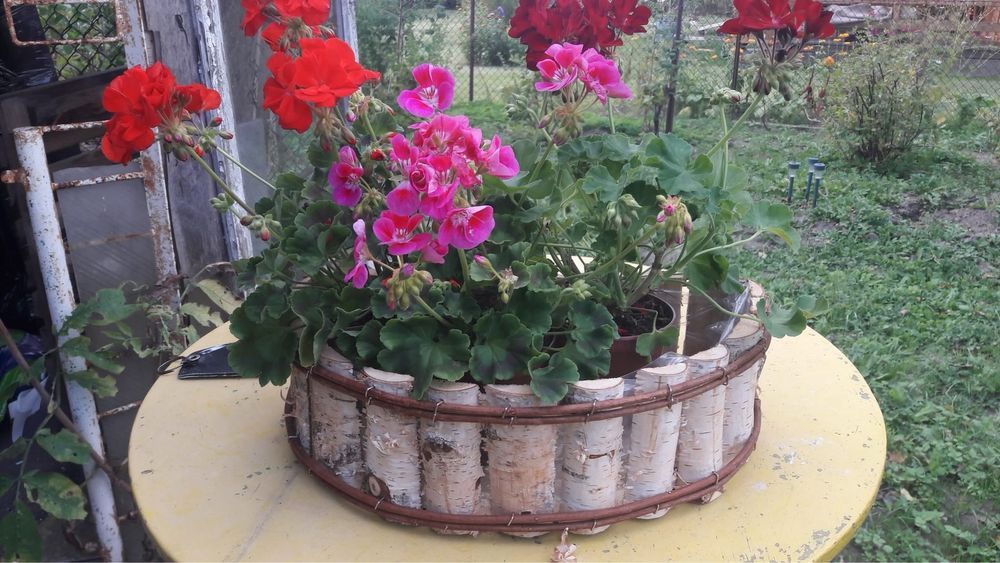 Działka rod Olsztyn Kormoran. Zdjęcie 8