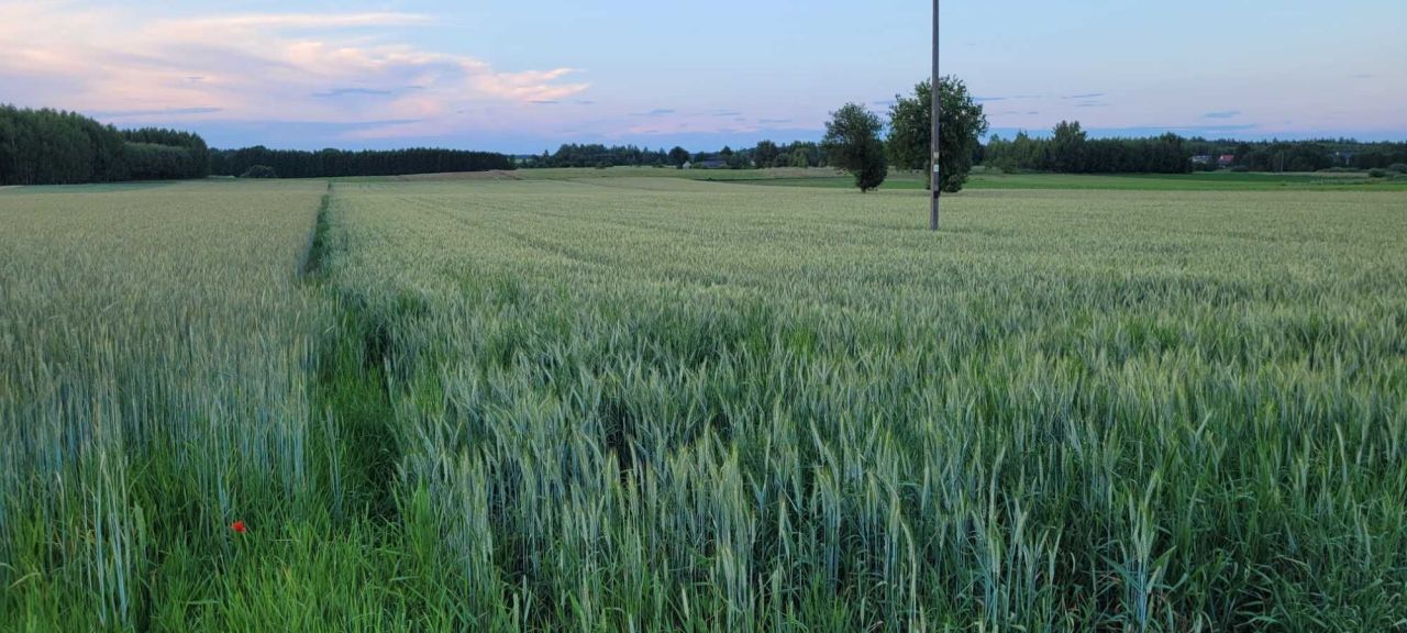 Działka rolno-budowlana Krzyżanowice. Zdjęcie 7