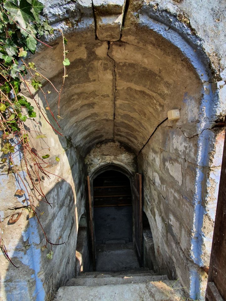 Działka siedliskowa Wola Władysławowska. Zdjęcie 15