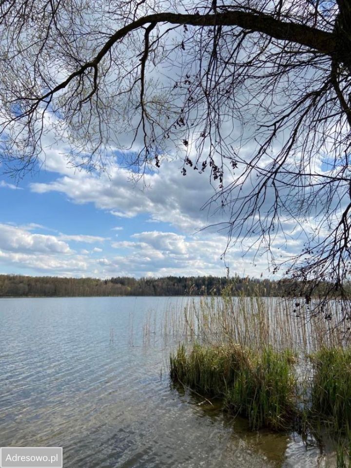 Działka siedliskowa Piszewo. Zdjęcie 4