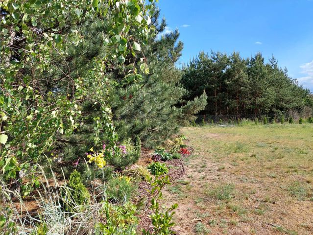 Działka budowlana Obra, ul. Kiełkowska. Zdjęcie 1