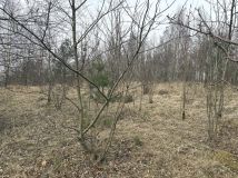 Działka rekreacyjna Wielki Podleś. Zdjęcie 1