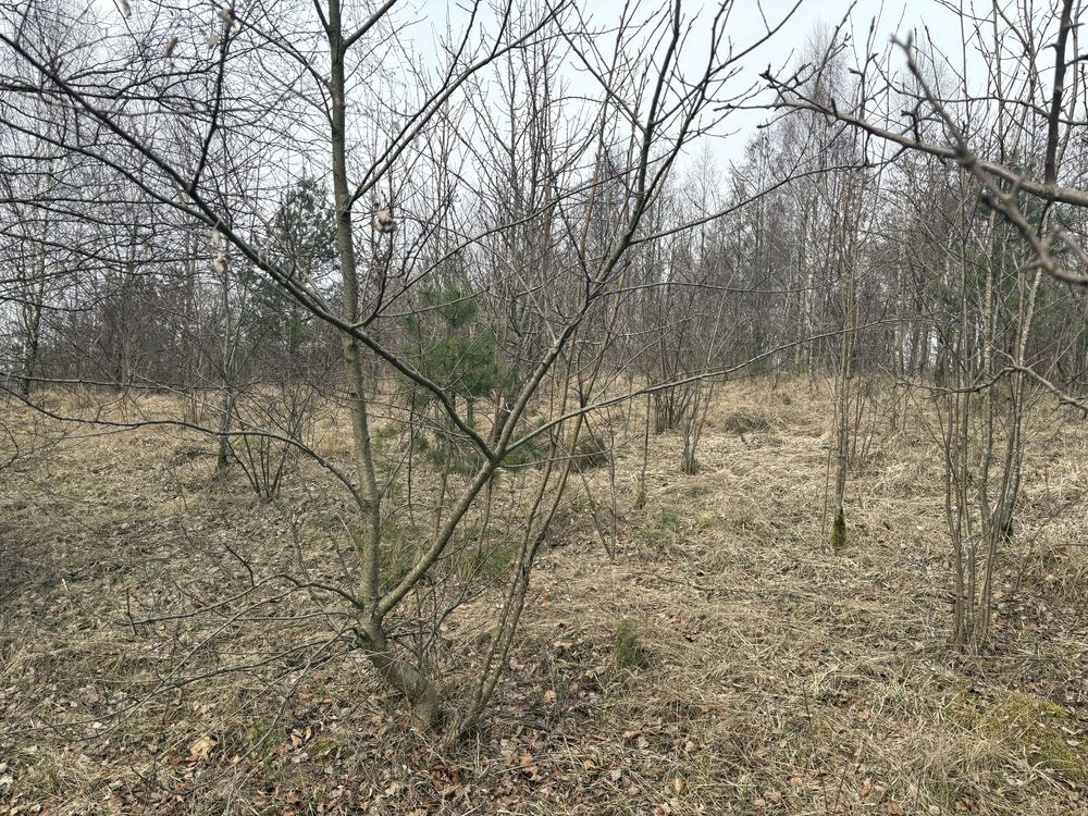 Działka rekreacyjna Wielki Podleś. Zdjęcie 2