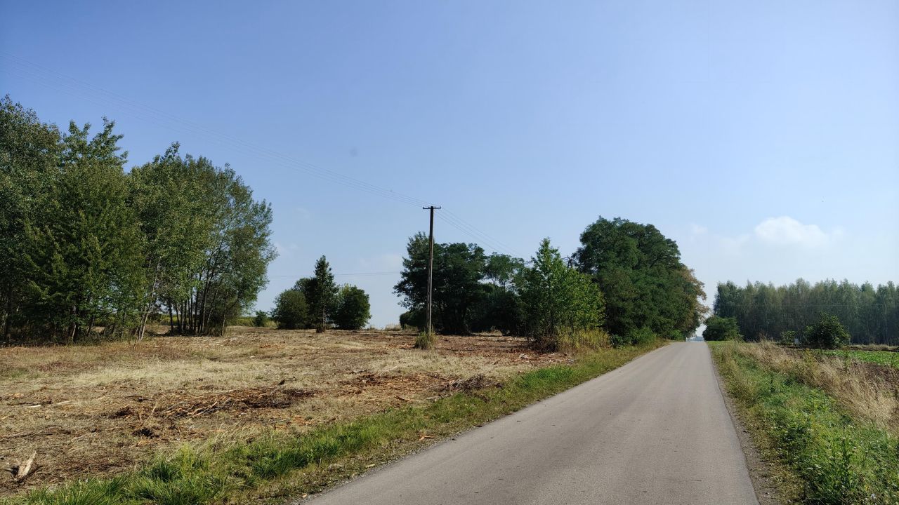 Działka budowlana Jabłonna Pierwsza. Zdjęcie 6