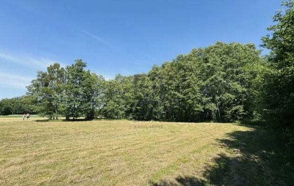 Działka budowlana Ślepowrony. Zdjęcie 1