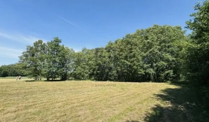 Działka budowlana Ślepowrony