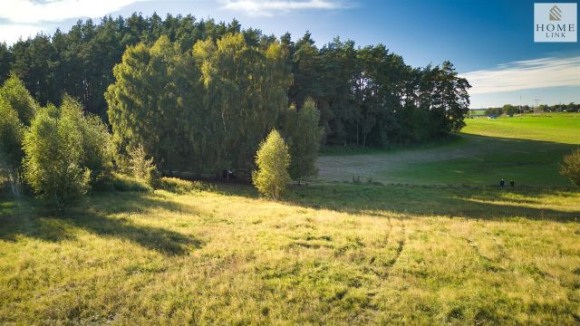 Działka rekreacyjna Bartążek, ul. Leśna. Zdjęcie 15