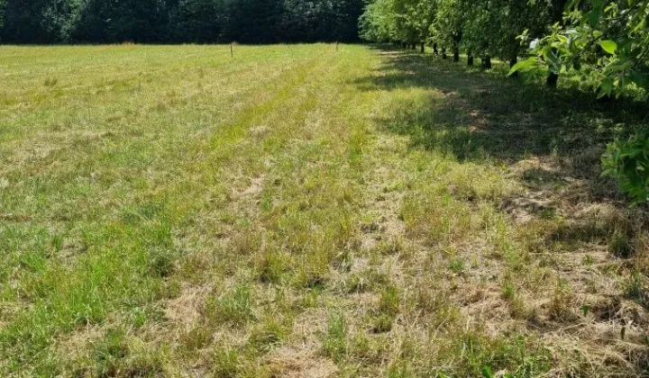 Działka budowlana Gąba