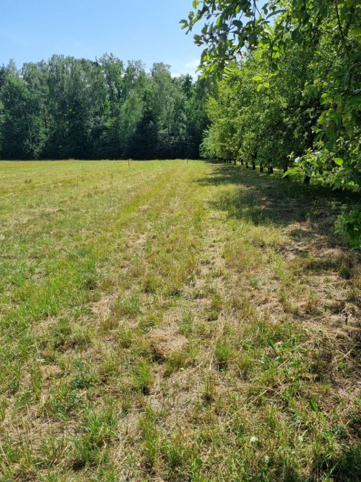 Działka budowlana Gąba