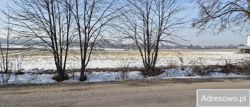 Działka budowlana Mikołów Bujaków, ul. Szkolna. Zdjęcie 7