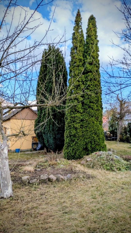 Działka rod Szczecin Zdroje. Zdjęcie 8