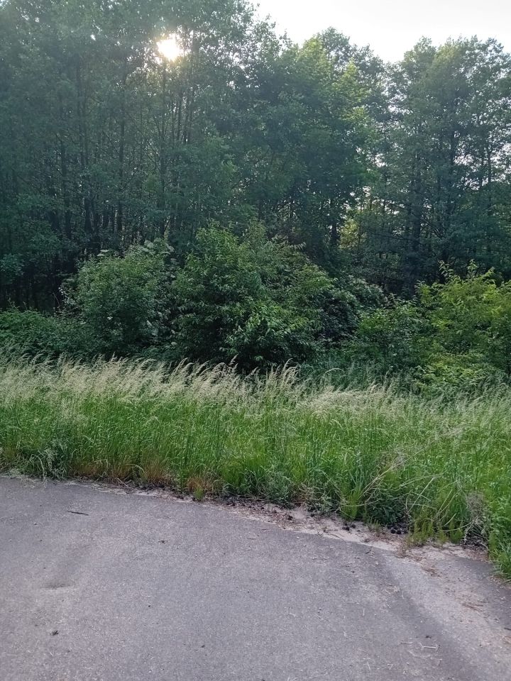 Działka budowlana Lubochnia. Zdjęcie 6