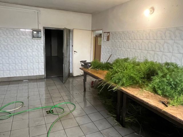 Działka inwestycyjna Jankowice, ul. Złote Łany. Zdjęcie 8