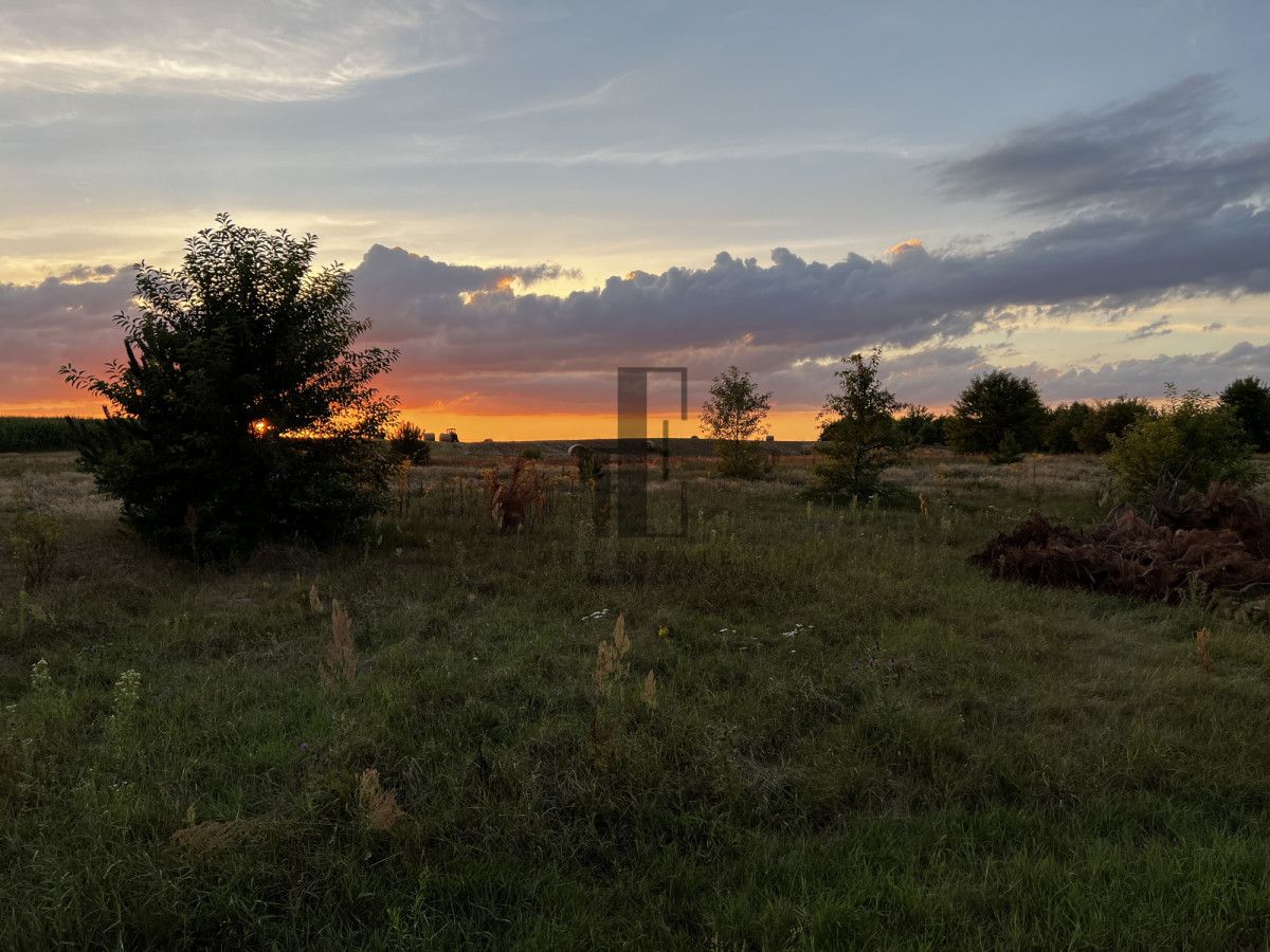 Działka rekreacyjna Gnojno. Zdjęcie 3