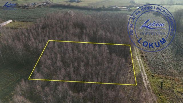 Działka inwestycyjna Lipno, ul. Borówkowa. Zdjęcie 3