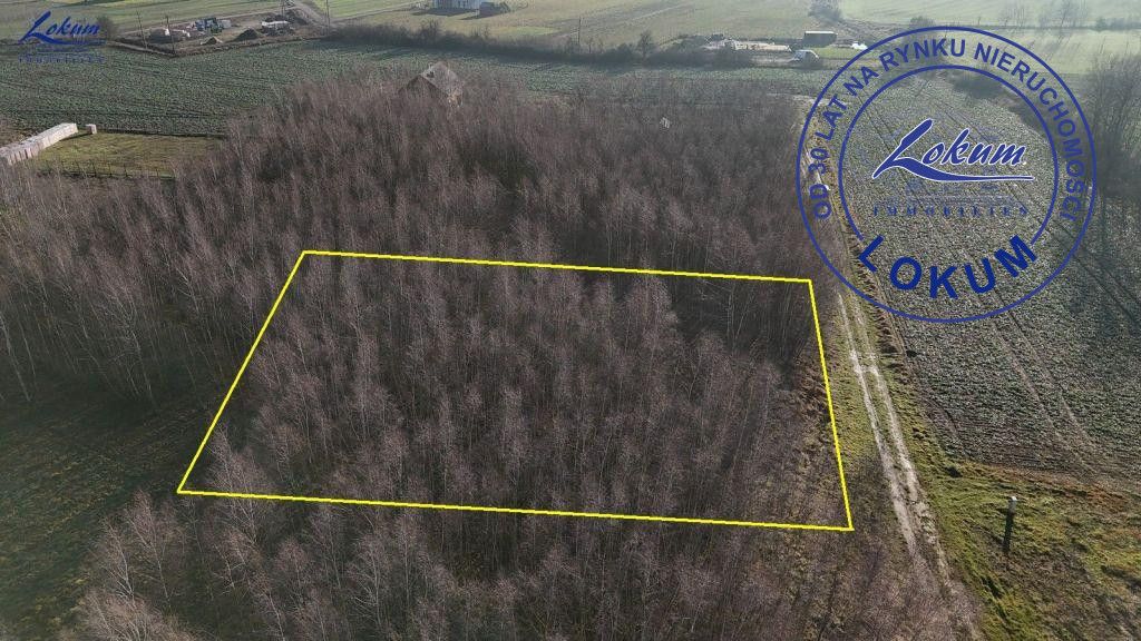 Działka inwestycyjna Lipno, ul. Borówkowa. Zdjęcie 3