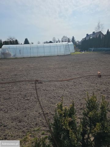 Działka budowlana Poznań Szczepankowo, ul. Jagodowa. Zdjęcie 5